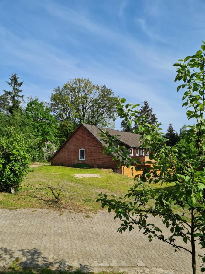 Apartament Dammann'S Hof Bispingen Zewnętrze zdjęcie